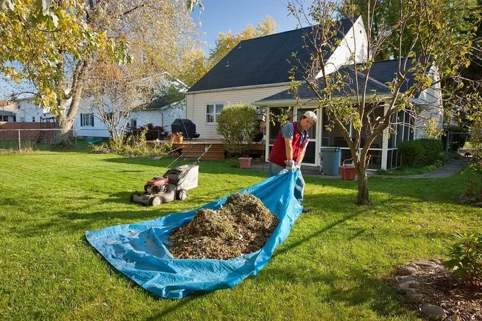 How to Clean My Lawn Properly Easy Tips for a Great Yard