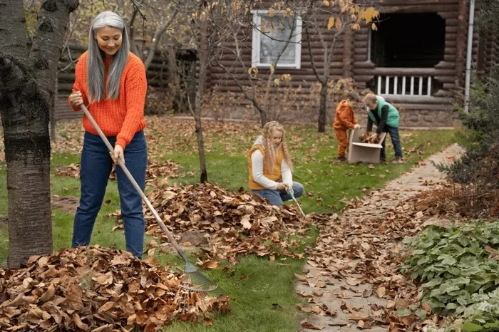 How to Clean My Lawn Properly Easy Tips for a Great Yard