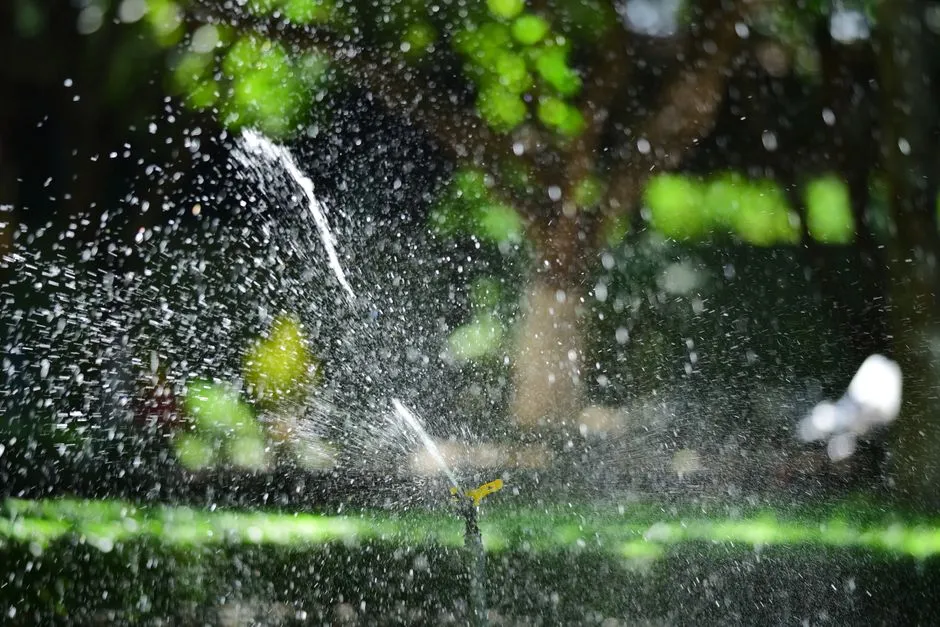 Best lawn watering schedule for summer