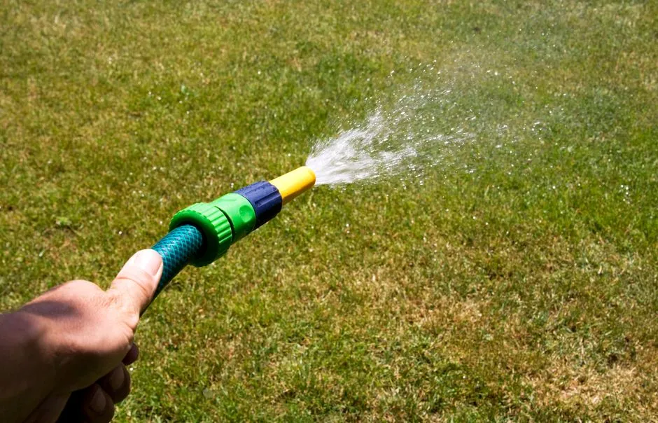 Best lawn watering schedule for summer