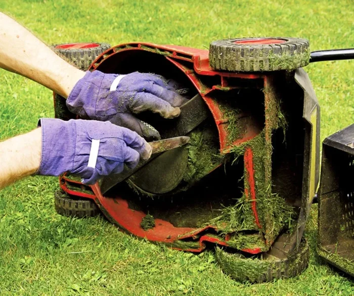 The Ultimate Guide on How to Clean My Lawn Properly