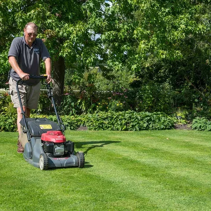 The Ultimate Guide on How to Clean My Lawn Properly