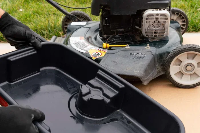 The Ultimate Guide on How to Clean My Lawn Properly