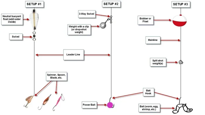 How To Set Up Fishing Rod For Trout Step By Step