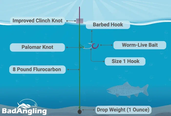 How To Set Up Fishing Rod For Trout Beginners Guide