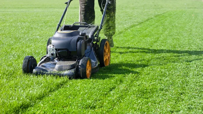 The Ultimate Guide to Clean My Lawn Properly for Healthy Growth