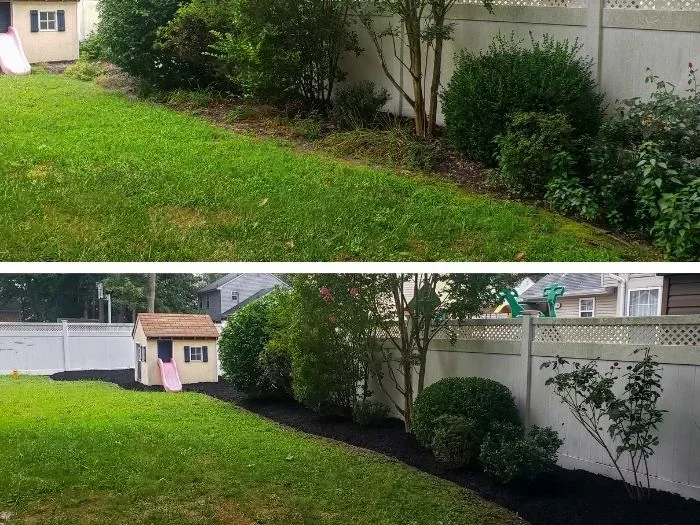 How To Clean My Lawn Easily