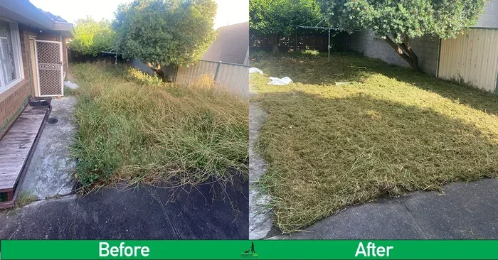 How To Clean My Lawn Easily