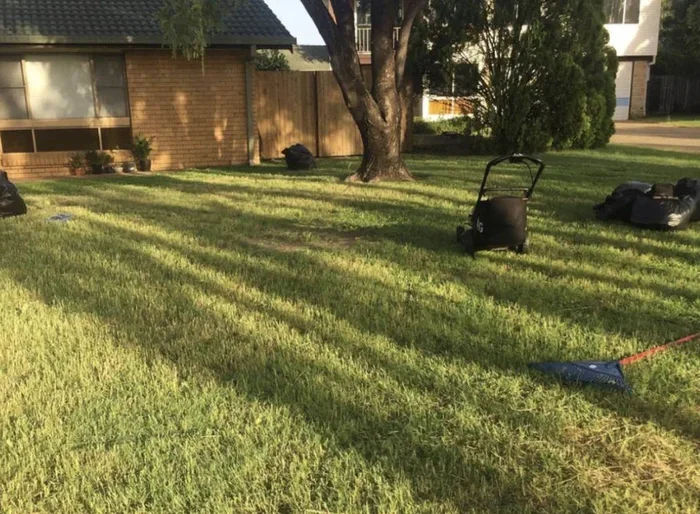 How To Clean My Lawn Easily
