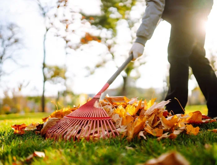 How to Clean My Lawn Easily for a Beautiful Healthy Yard