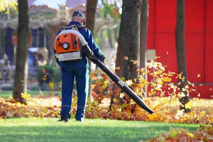 How to Clean My Lawn Easily for a Beautiful Healthy Yard