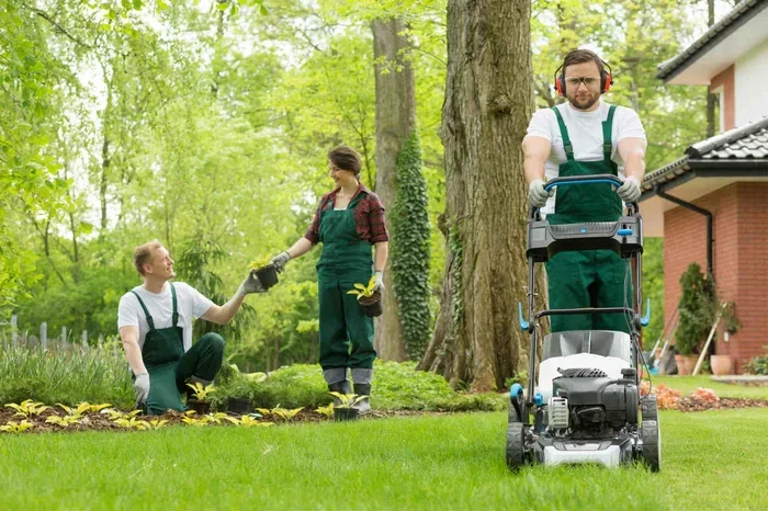 How to Clean My Lawn Properly Like a Pro This Year