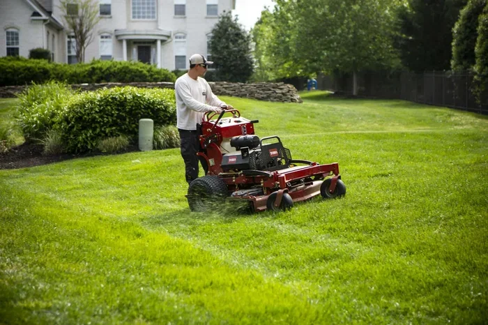 How to Clean My Lawn Properly Like a Pro This Year